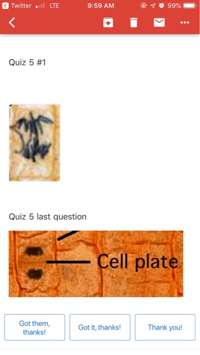 3Twitter LTE 9:59 AM @ ขึ ข 99% Quiz 5 #1 Quiz 5 last question Cell plate Got them thanks! Got it, thanks!Thank you!