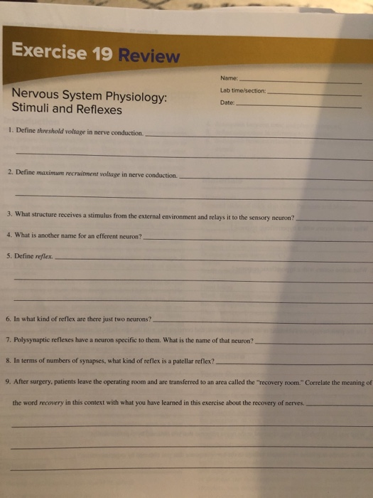 Solved Exercise 19 Review Nervous System Physiology: Stimuli 