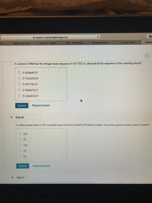 Solved 0 Com If A Strand Of Dna Has The Nitrogen Base Chegg Com