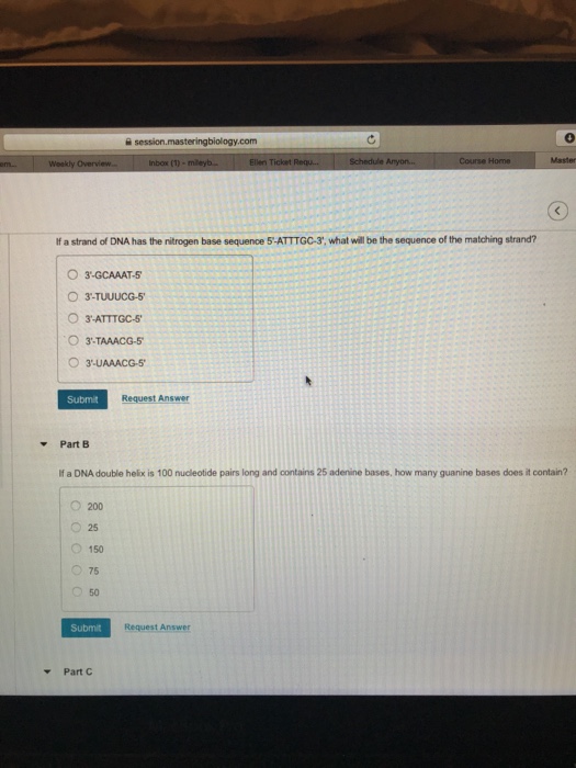 Solved 0 Com If A Strand Of Dna Has The Nitrogen Base Chegg Com