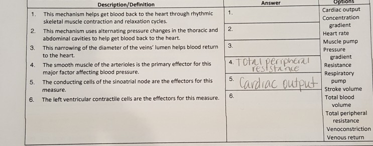 Blood Pressure: Definition, Measurement, Mechanism