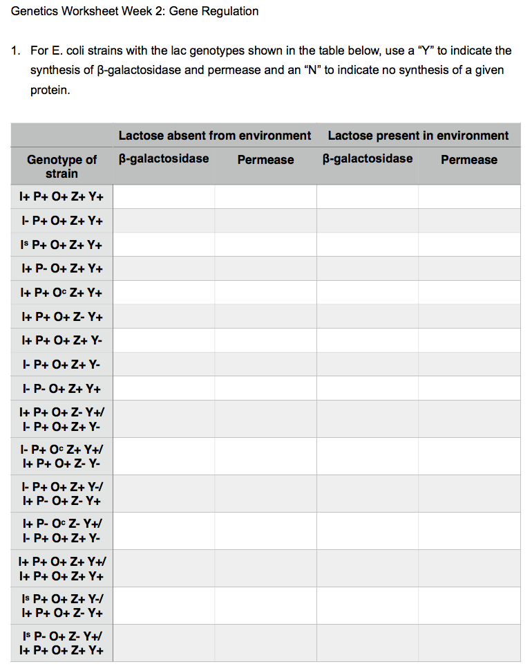 Solved Genetics Worksheet Week 2 Gene Regulation 1 For Chegg Com