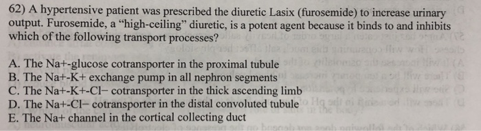 Solved 62 A Hypertensive Patient Was Prescribed The Diur