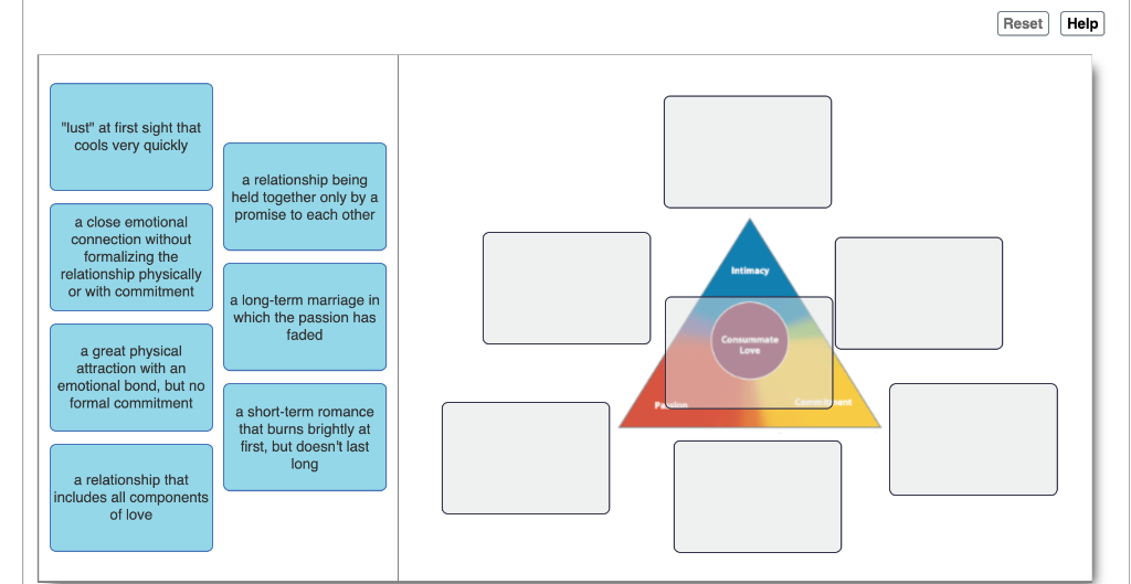 Solved Reset Help Lust At First Sight That Cools Very Chegg Com