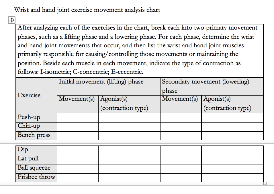 Exercise Analysis Chart