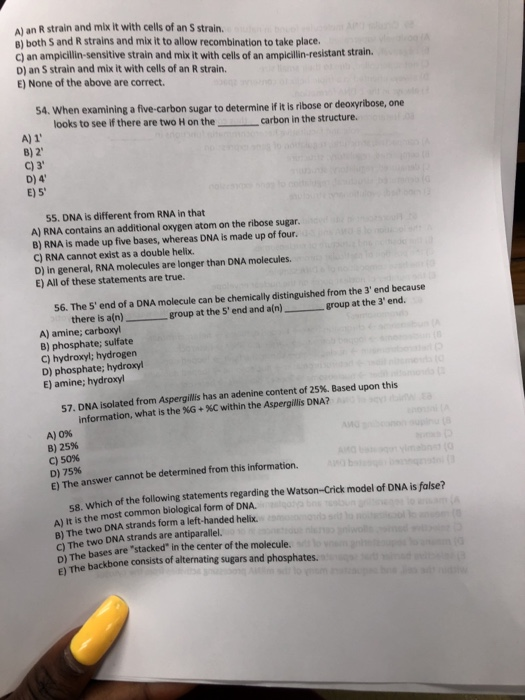 Solved A An R Strain And Mix It With Cells Of An S Strai Chegg Com