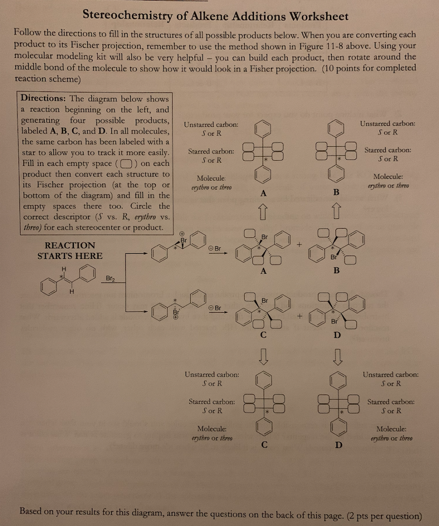 Solved Stereochemistry of Alkene Additions Worksheet Follow | Chegg.com