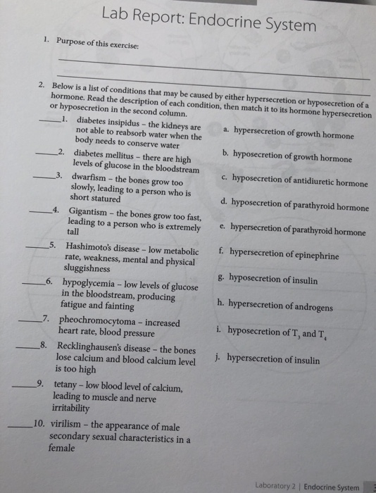 Endocrine lab values picture