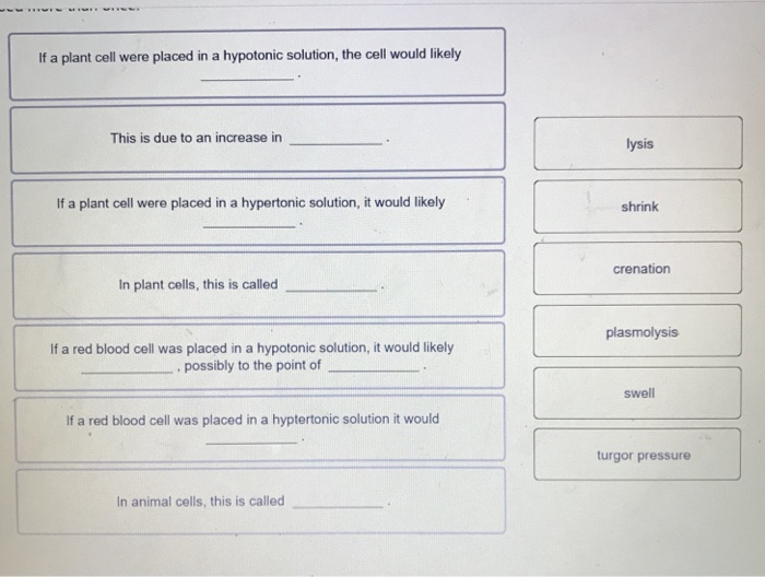 If A Plant Cell Were Placed In A Hypotonic Solution Chegg Com