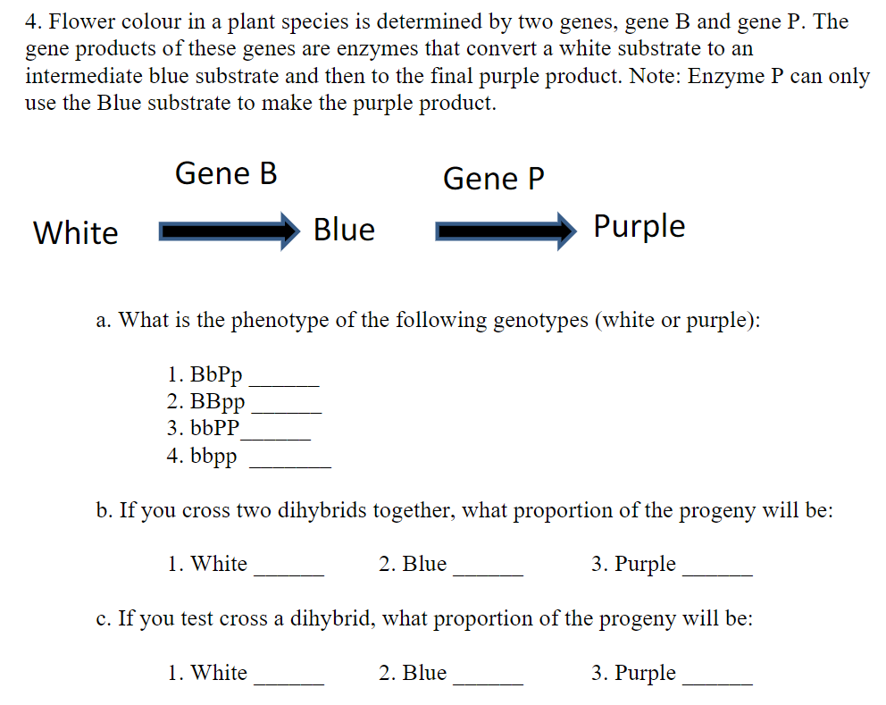 Solved 4. Flower Colour In A Plant Species Is Determined By | Chegg.com