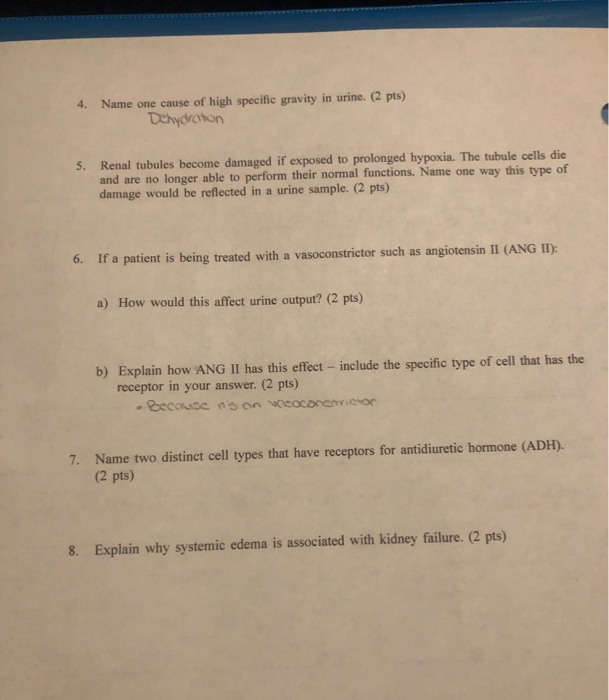 solved-4-name-one-cause-of-high-specific-gravity-in-urine-chegg