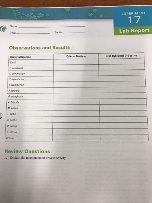 Solved EXPERIMENT 1 7 Name Lab Report Date: Section: | Chegg.com
