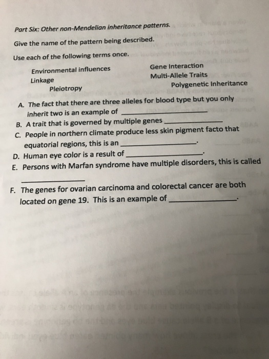 Solved Part Six: Other Non-Mendelian Inheritance Patterns | Chegg.com