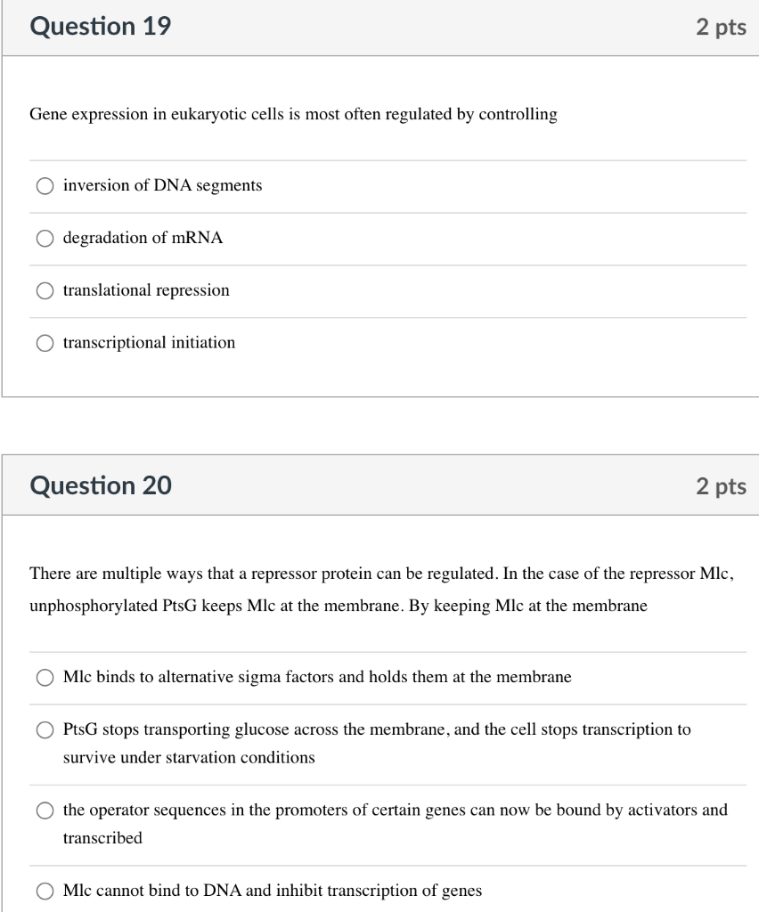 Solved Question 19 2 pts Gene expression in eukaryotic cells | Chegg.com