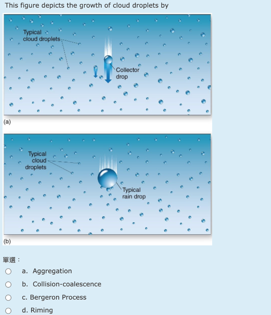 Solved This figure depicts the growth of cloud droplets by