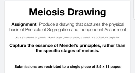 meiosis drawing assignment