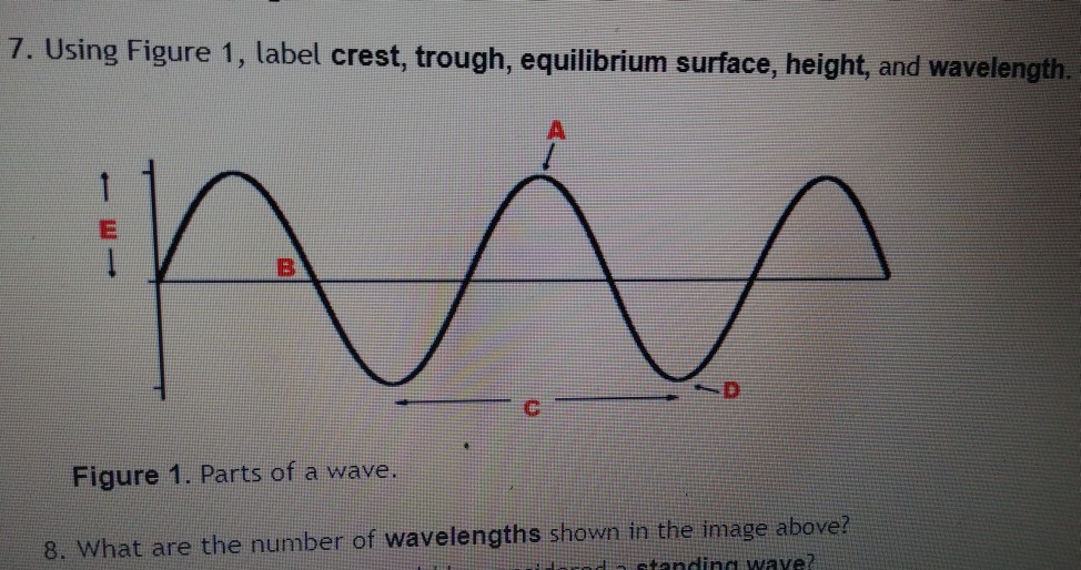 33 Label Parts Of A Wave - Labels Design Ideas 2020