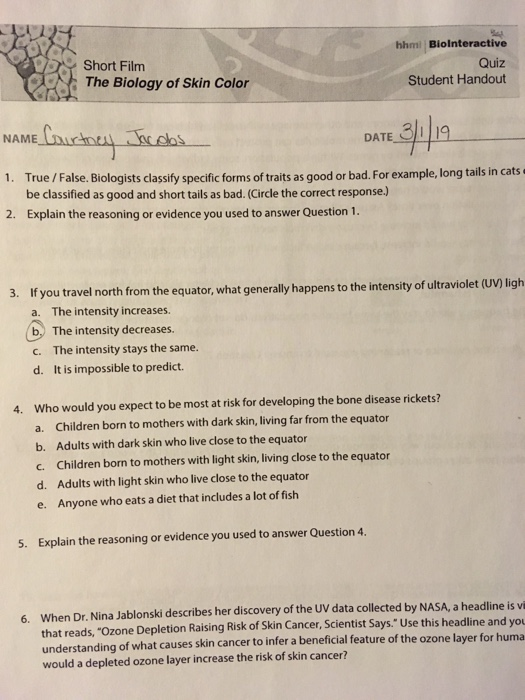 The Biology Of Skin Color Worksheet Answers Biointeractive
