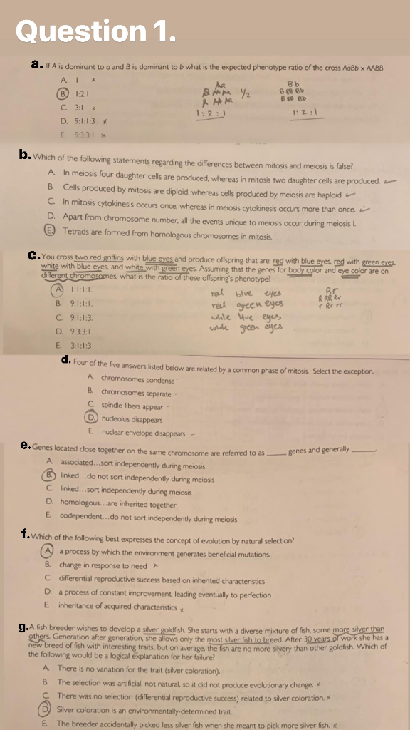 Solved Question 1 M2 A If A Is Dominant To A And B Is Chegg Com