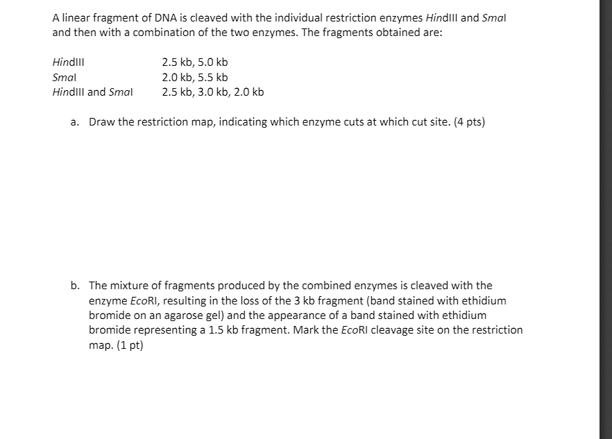 Solved A linear fragment of DNA is cleaved with the | Chegg.com