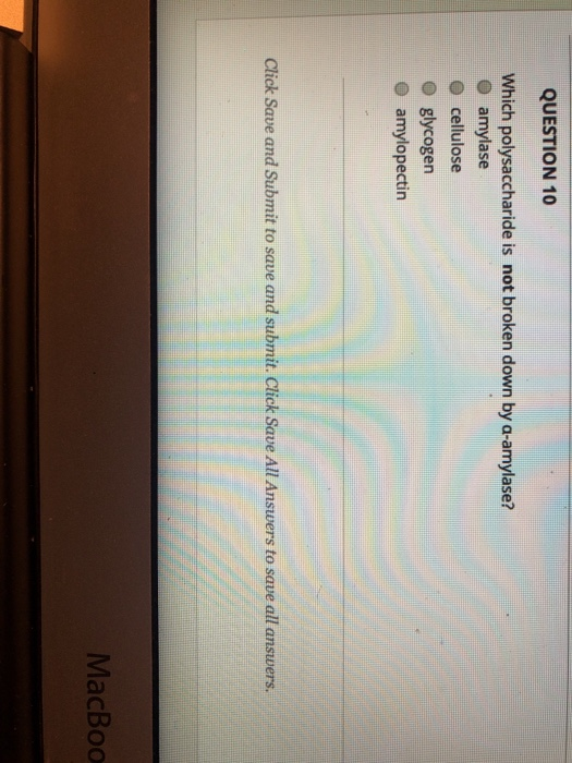 Solved QUESTION 10 Which polysaccharide is not broken down