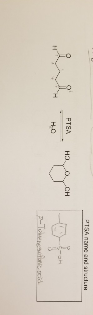 Solved PTSA name and structure PTSA H2O d. | Chegg.com