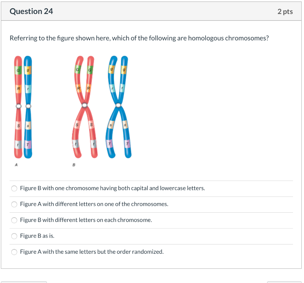Solved Question 24 2 pts Referring to the figure shown here, | Chegg.com