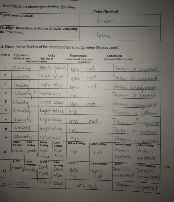 Solved Isolation of the chromoprotein from Spirulina