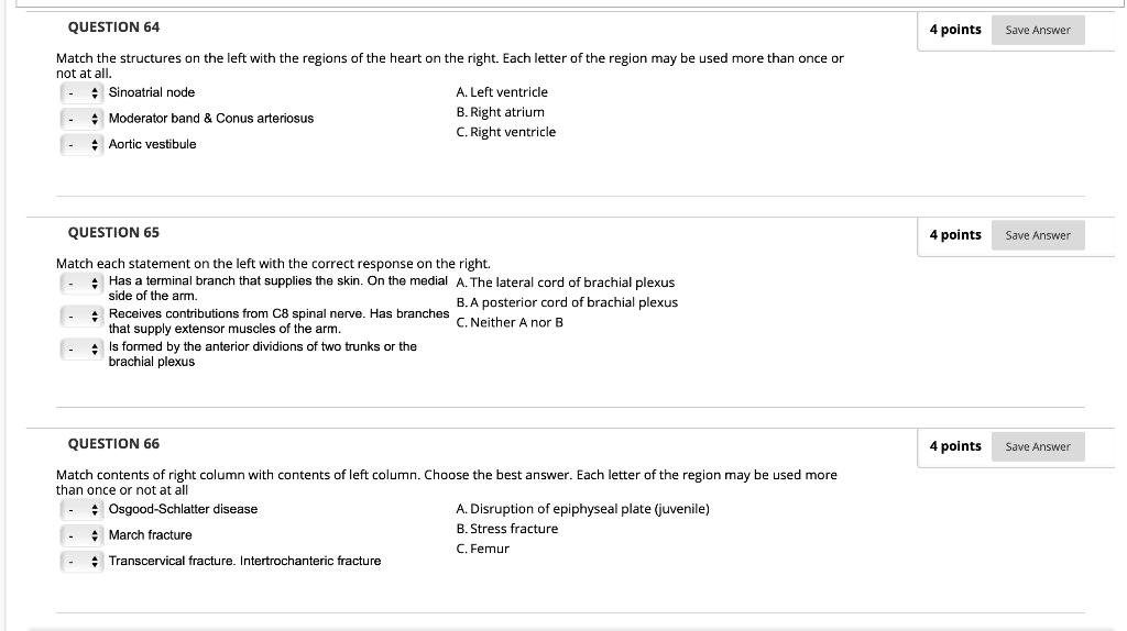 Solved QUESTION 64 4 points Save Answer Match the structures | Chegg.com