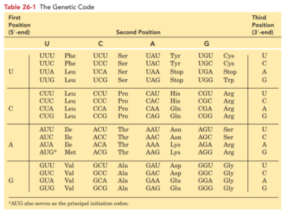 solved-what-mrna-sequence-codes-the-tripeptide-shown-below-chegg