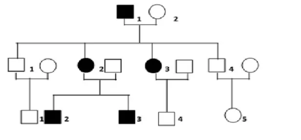 Solved 10) Identify the type of inheritance and explain the | Chegg.com