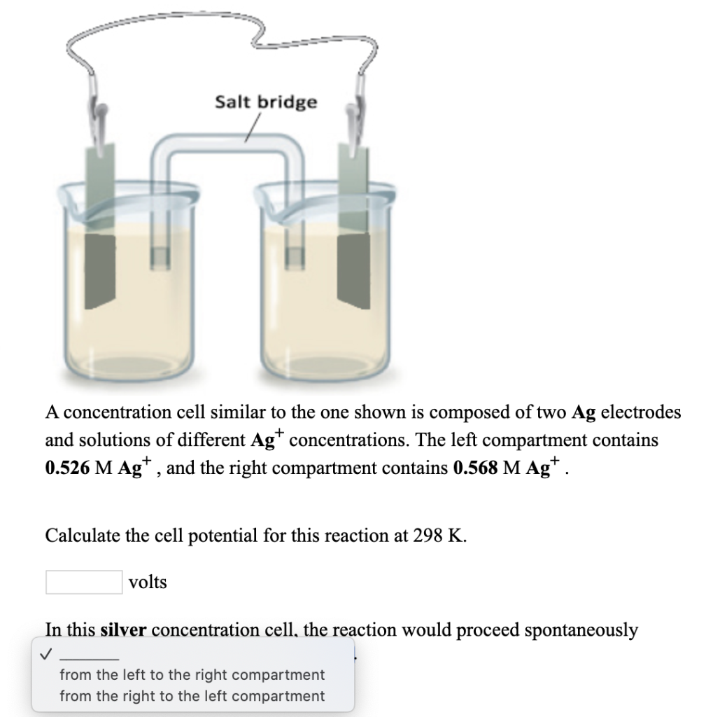 Solved Salt bridge A concentration cell similar to the one
