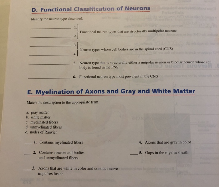 Solved Identify four (4) types of classification of kienitvc.ac.ke