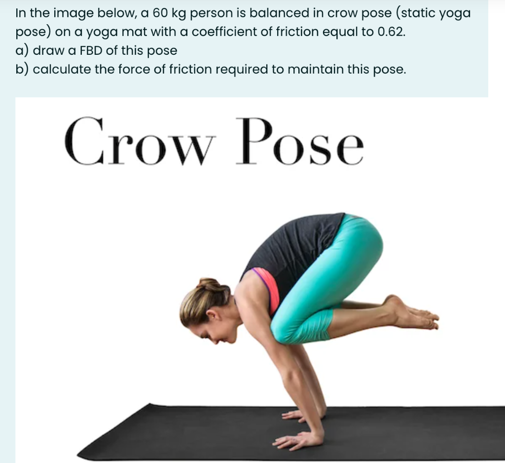 Solved In the image below, a 60 kg person is balanced in | Chegg.com