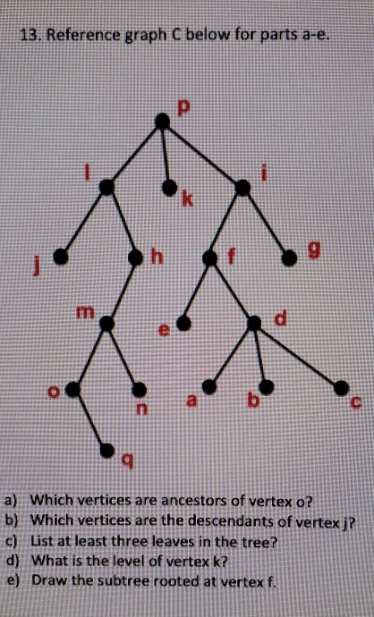 Solved 13 Reference Graph C Below For Parts A E A Whic Chegg Com