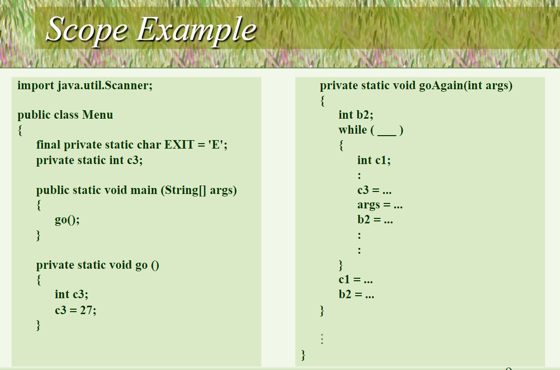 Solved can anyone tell me which are local, global and class | Chegg.com