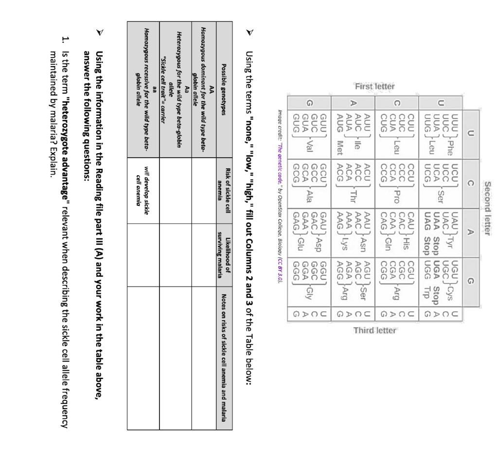 Solved 2 How can you explain that while forelimbs of bats Chegg com