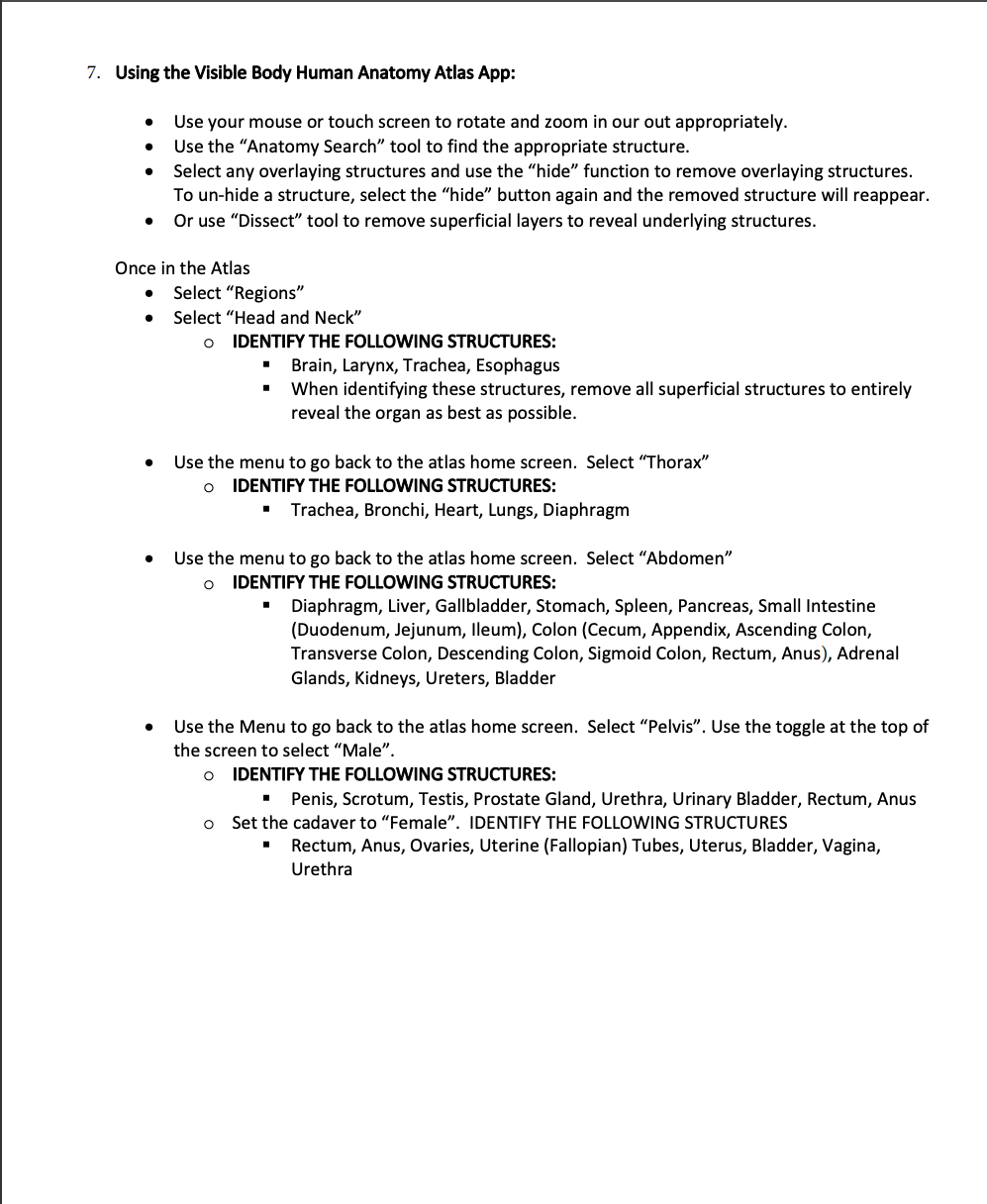 Solved 7. Using the Visible Body Human Anatomy Atlas App: - | Chegg.com