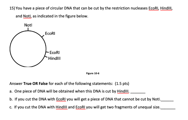 Solved 15) You have a piece of circular DNA that can be cut | Chegg.com