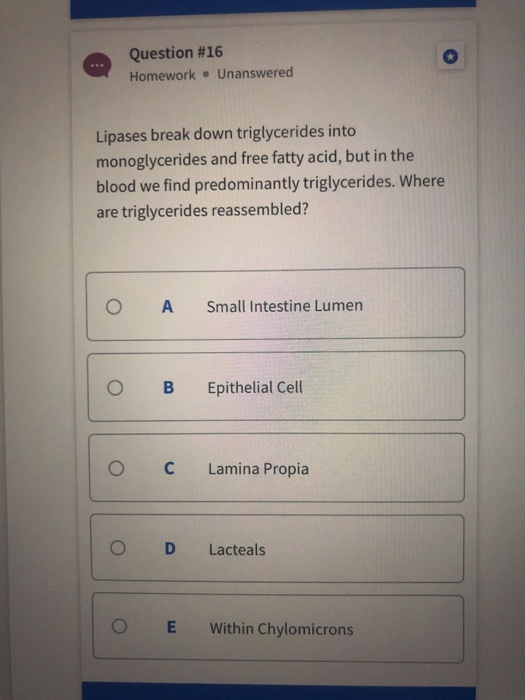 Solved Question 16 Homework Unanswered Lipases break down