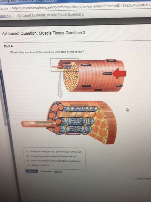 Solved View?assignmentProblemID93835249&offset Ecure Htt...