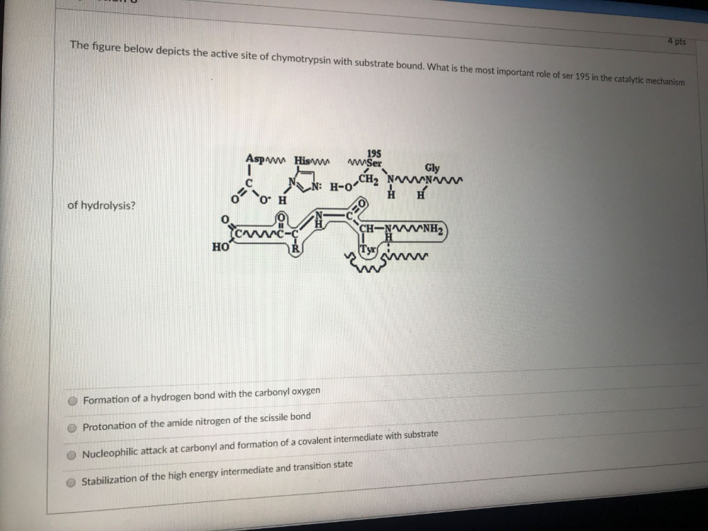 Solved The figure below depicts the active site of | Chegg.com