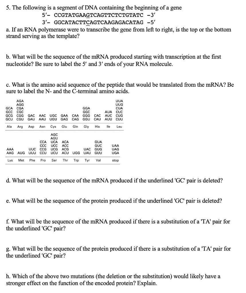 Dna transcription steps image