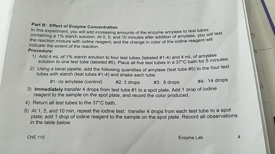 Solved Part B: Effect of Enzyme Concentration In this | Chegg.com