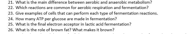Solved 21. What is the main difference between aerobic and | Chegg.com
