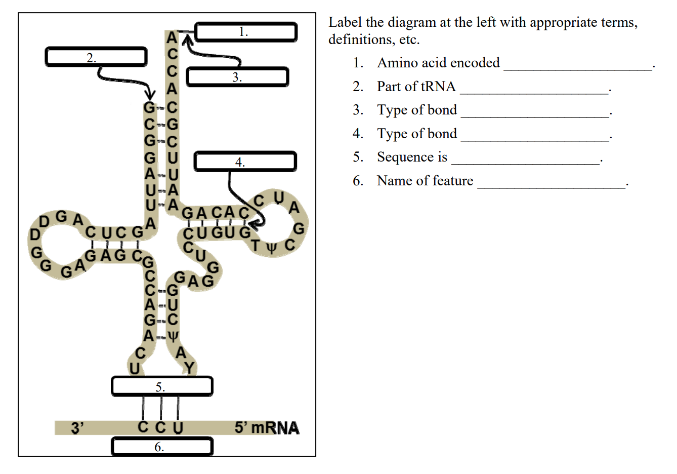 Solved 2 Ddccomodood Label The Diagram At The Left With Chegg Com