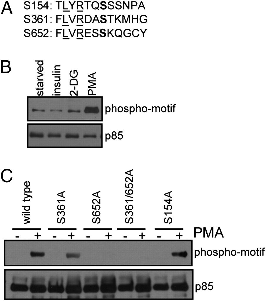 Solved explain and summarize the data what contribution it | Chegg.com