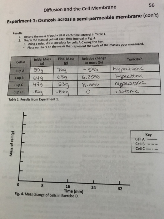 56 Diffusion and the Cell Membrane Experiment 1: | Chegg.com