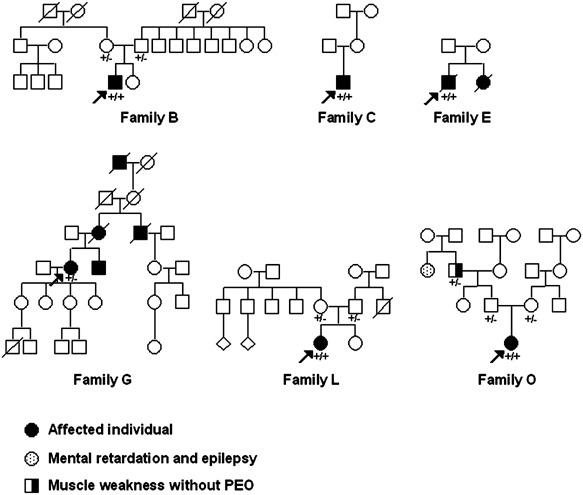 Solved Family B Family C Family E To 00 For Og 67 53 Chegg Com