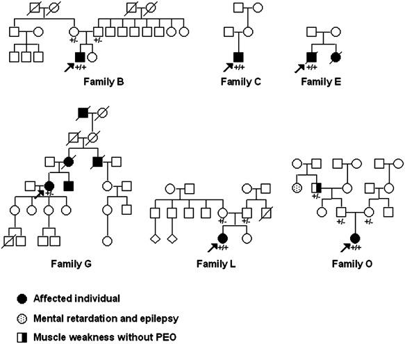 Solved Family B Family C Family E To 00 For Og 67 53 Chegg Com